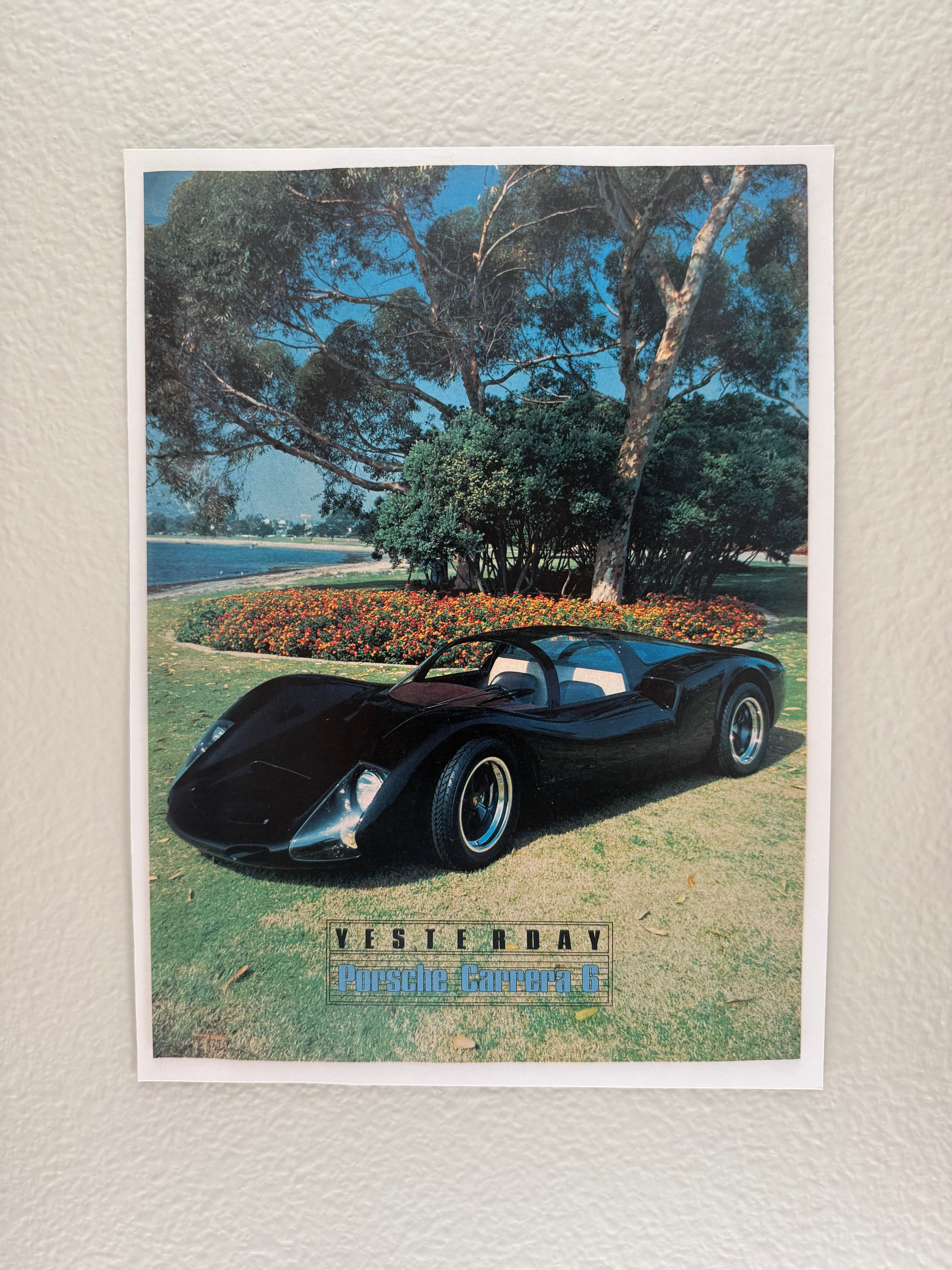 Porsche Carrera 6 Poster