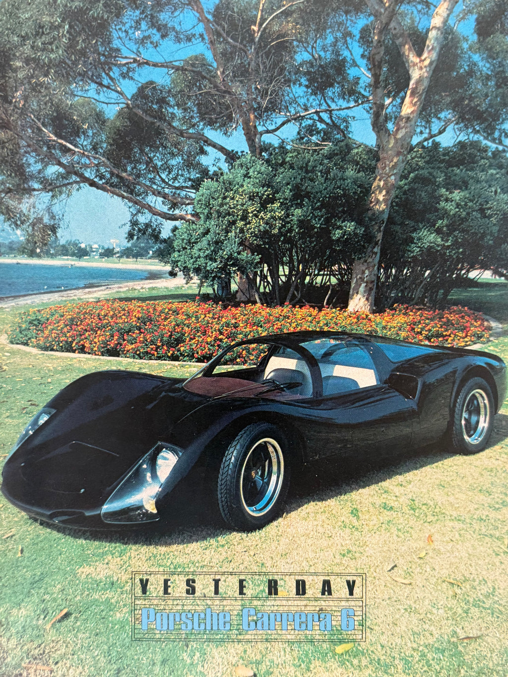 Porsche Carrera 6 Poster