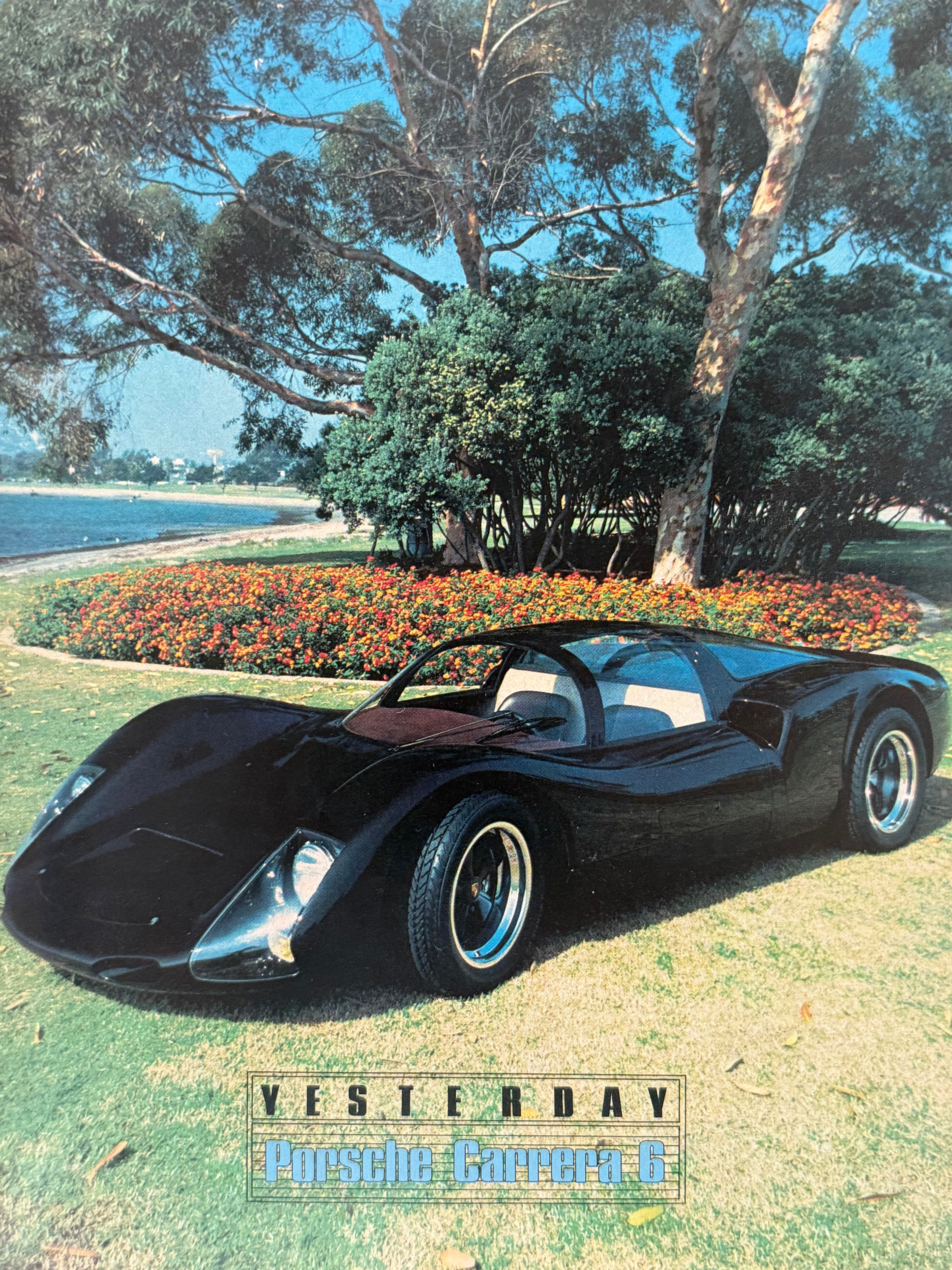 Porsche Carrera 6 Poster