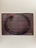 Nissan 240SX Poster
